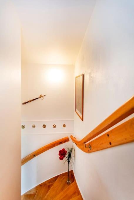 Gite Belsoulel Au Coeur Du Tarn Ambres Extérieur photo